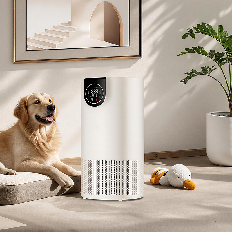 X35 Sleep Purifier